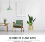 Gold Plant Stand for Indoor Plants - 10 Inch Round Metal Planter Pot with Iron F... - Image 5