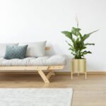 Gold Plant Stand for Indoor Plants - 10 Inch Round Metal Planter Pot with Iron F... - Image 6