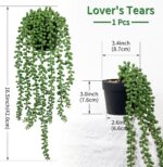 LOYWREE Fake Plants Indoor Artificial String of Pearls Plant in Black Pots, Real... - Image 3