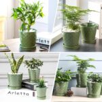 EFISPSS Flower Planter –5 inch Ceramic Plant Pots with Drainage Hole and Ceramic... - Image 5