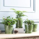 EFISPSS Flower Planter –5 inch Ceramic Plant Pots with Drainage Hole and Ceramic... - Image 6
