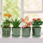 EFISPSS Flower Planter –5 inch Ceramic Plant Pots with Drainage Hole and Ceramic... - Image 7