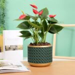 6&4.4 Inch Cement Planter Decorative Pots with Drainage Hole for All House Plant... - Image 5