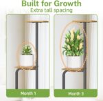 iDavosic.ly Tall Plant Stand Indoor, 4 Tier Corner Multiple Flower Holder Shelf ... - Image 5