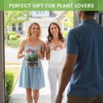 DomeStar 2 Pack Small Eucalyptus Plant, 8.6" Tall Small Fake Plants Potted Reali... - Image 3