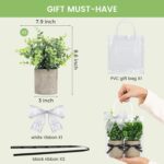 DomeStar 2 Pack Small Eucalyptus Plant, 8.6" Tall Small Fake Plants Potted Reali... - Image 6