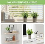 DomeStar 2 Pack Small Eucalyptus Plant, 8.6" Tall Small Fake Plants Potted Reali... - Image 7