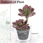 Hollyone Large Artificial Succulent Plants - Fake Agave Succulent in Vintage Cem... - Image 3
