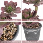 Hollyone Large Artificial Succulent Plants - Fake Agave Succulent in Vintage Cem... - Image 4