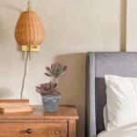 Hollyone Large Artificial Succulent Plants - Fake Agave Succulent in Vintage Cem... - Image 8