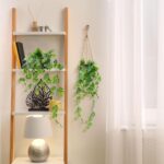 6 Set Mini Fake Hanging Plants with Woven Basket Boho Artificial Ivy Faux Vines ... - Image 5