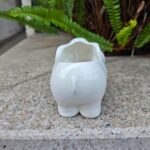 Cute Animal Elephant Shaped Ceramic Succulent Cactus Air Plant Flower Pots Plant... - Image 8