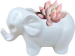 Cute Animal Elephant Shaped Ceramic Succulent Cactus Air Plant Flower Pots Plant... - Image 9