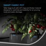 AC Infinity Heavy Duty Fabric Pots, 3 Gallon Aeration Reusable Grow Bags 5-Pack ... - Image 3