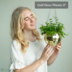 SCANDINORDICA Disco Ball Planter – Value Package: Mirror Disco Planter with Chai... - Image 3