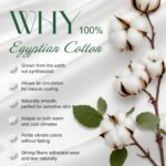 Ivellow 100% Egyptian Cotton Sheets King Size Set - 1200 Thread Count 6 PC 18" D... - Image 9