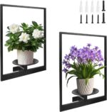 Plant Wall Shelf, Metal Modern Style Frame, Picture Wall Plant Holder, Plant Fra... - Image 3