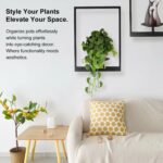 Plant Wall Shelf, Metal Modern Style Frame, Picture Wall Plant Holder, Plant Fra... - Image 8