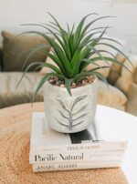 Hollyone 2 Pack Small Artificial Succulents Plants Potted Fake Spiked Succulent ... - Image 4