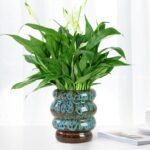 Ceramic 5 inch Plant Pot - Planter for Indoor Plants with Drainage Hole, Flower ... - Image 3