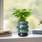 Ceramic 5 inch Plant Pot - Planter for Indoor Plants with Drainage Hole, Flower ... - Image 6