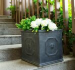 Kante Square Lion Head Concrete Planter, Classic English Style Plant Pot with Dr... - Image 3