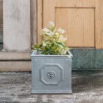 Kante Square Lion Head Concrete Planter, Classic English Style Plant Pot with Dr... - Image 4