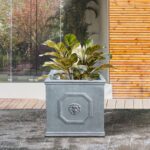 Kante Square Lion Head Concrete Planter, Classic English Style Plant Pot with Dr... - Image 7