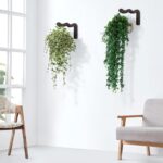 Wavy Plant Hanger Hooks – 2 Pack Rustic Wooden Wall Mounts for Indoor/Outdoor Us... - Image 4