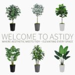 ASTIDY Artificial Dracaena Tree 5FT - Faux Tree with White Tall Planter - Fake T... - Image 5