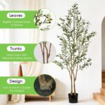 6ft Olive Trees Artificial Indoor 2in1, Fake Large Tall Olive Plant for Living R... - Image 5