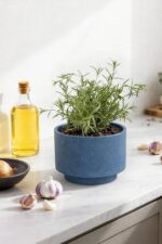 Succulent Pots, 8 Inch + 6 Inch Plant Pots for Plants with Drainage Hole, Indoor... - Image 3