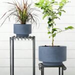 Succulent Pots, 8 Inch + 6 Inch Plant Pots for Plants with Drainage Hole, Indoor... - Image 4
