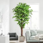 6.2ft Ficus Artificial Trees with 3 Natural Curved Trunks, 74" Tall Lush Faux Tr... - Image 4