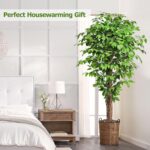 6.2ft Ficus Artificial Trees with 3 Natural Curved Trunks, 74" Tall Lush Faux Tr... - Image 5