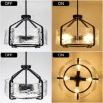 Luupyia 17.7 Inches Glass Drum Chandelier Black, 4Lights Modern Glass Chandelier... - Image 4