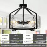 Luupyia 17.7 Inches Glass Drum Chandelier Black, 4Lights Modern Glass Chandelier... - Image 7