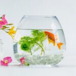FANTIAN 1lb Clear Glass Beads for Vases, 100 Pcs Glass Pebbles, Clear Flat Glass... - Image 4