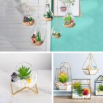 162 Pcs Miniature Fairy Garden Accessories, Fairy Garden Kit, Including Animals,... - Image 6