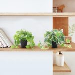 AceList 2 Pack Fake Plants Decor, Artificial Plants for Home Decor Indoor, Fake ... - Image 7