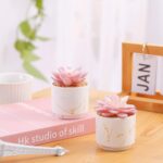 ZENIDA Artificial Plants and Succulents in 2 White Ceramic Pots,Small Fake Plant... - Image 3