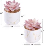 ZENIDA Artificial Plants and Succulents in 2 White Ceramic Pots,Small Fake Plant... - Image 5