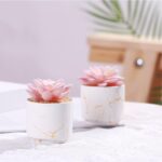 ZENIDA Artificial Plants and Succulents in 2 White Ceramic Pots,Small Fake Plant... - Image 6