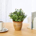Nearly Natural 10in. Eucalyptus and Sedum Succulent Artificial Plant in Ceramic ... - Image 4