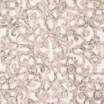 SAFAVIEH Area Rug 8x10 - Trace Collection - Large - Brown & Ivory, Handmade Wool... - Image 7