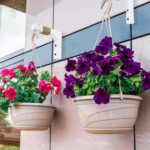2 Pack Plant Hanger Hooks for Indoor Hanging Plants, Farmhouse Wooden Hanging Ba... - Image 5