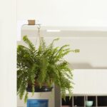 2 Pack Plant Hanger Hooks for Indoor Hanging Plants, Farmhouse Wooden Hanging Ba... - Image 8