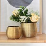 Flower Pot Luxury Creative Brushed Gold-plated Color Green Hydroponic Phalaenops... - Image 5