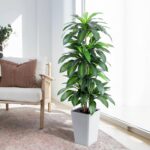 Artificial Dracaena Tree with White Tall Planter, 5ft Tall Potted Artificial Dra... - Image 3