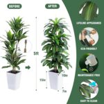 Artificial Dracaena Tree with White Tall Planter, 5ft Tall Potted Artificial Dra... - Image 5